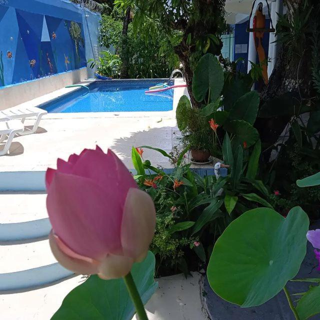 Porto Bahia Hotel Porto Seguro Extérieur photo