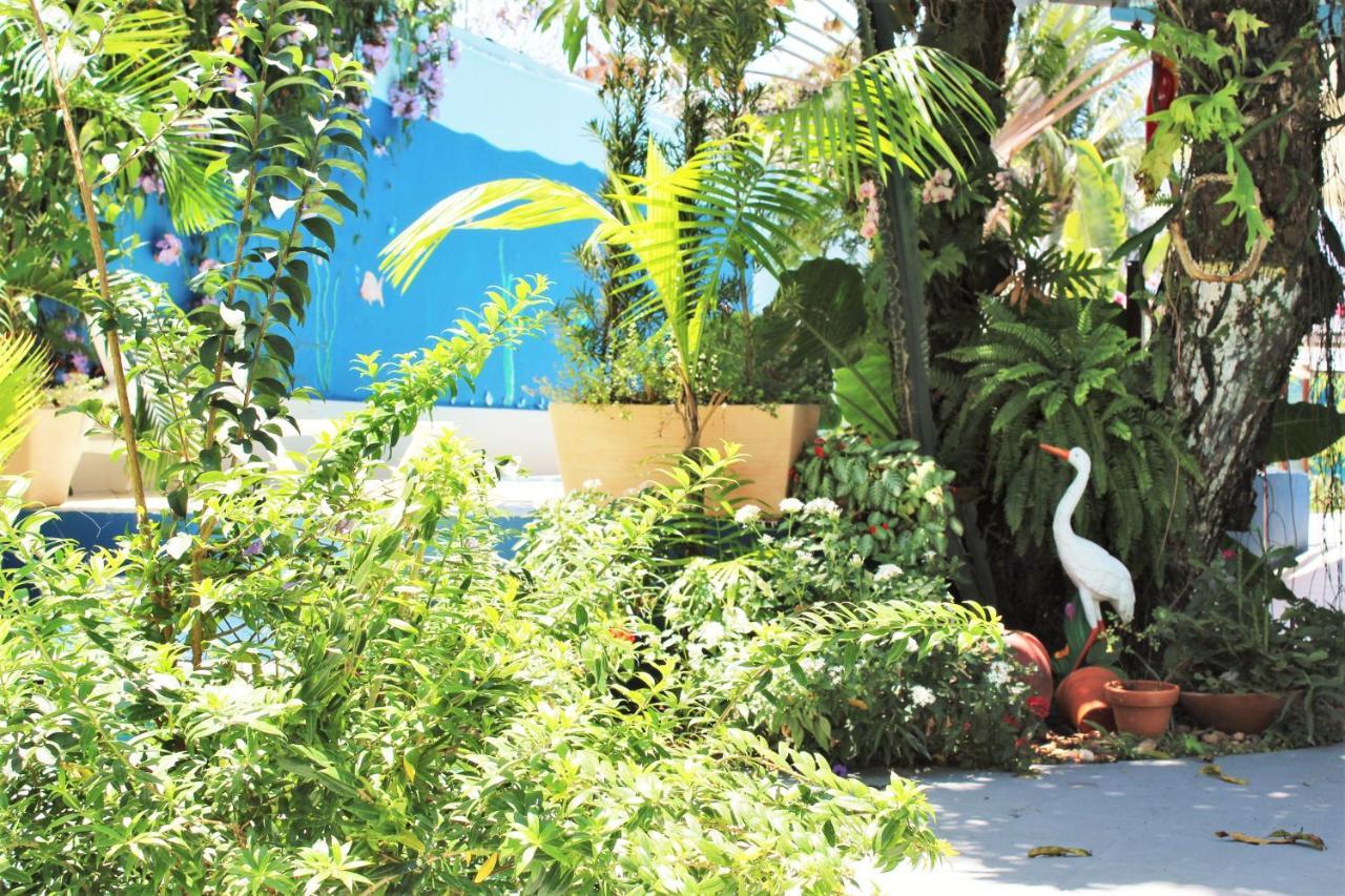 Porto Bahia Hotel Porto Seguro Extérieur photo